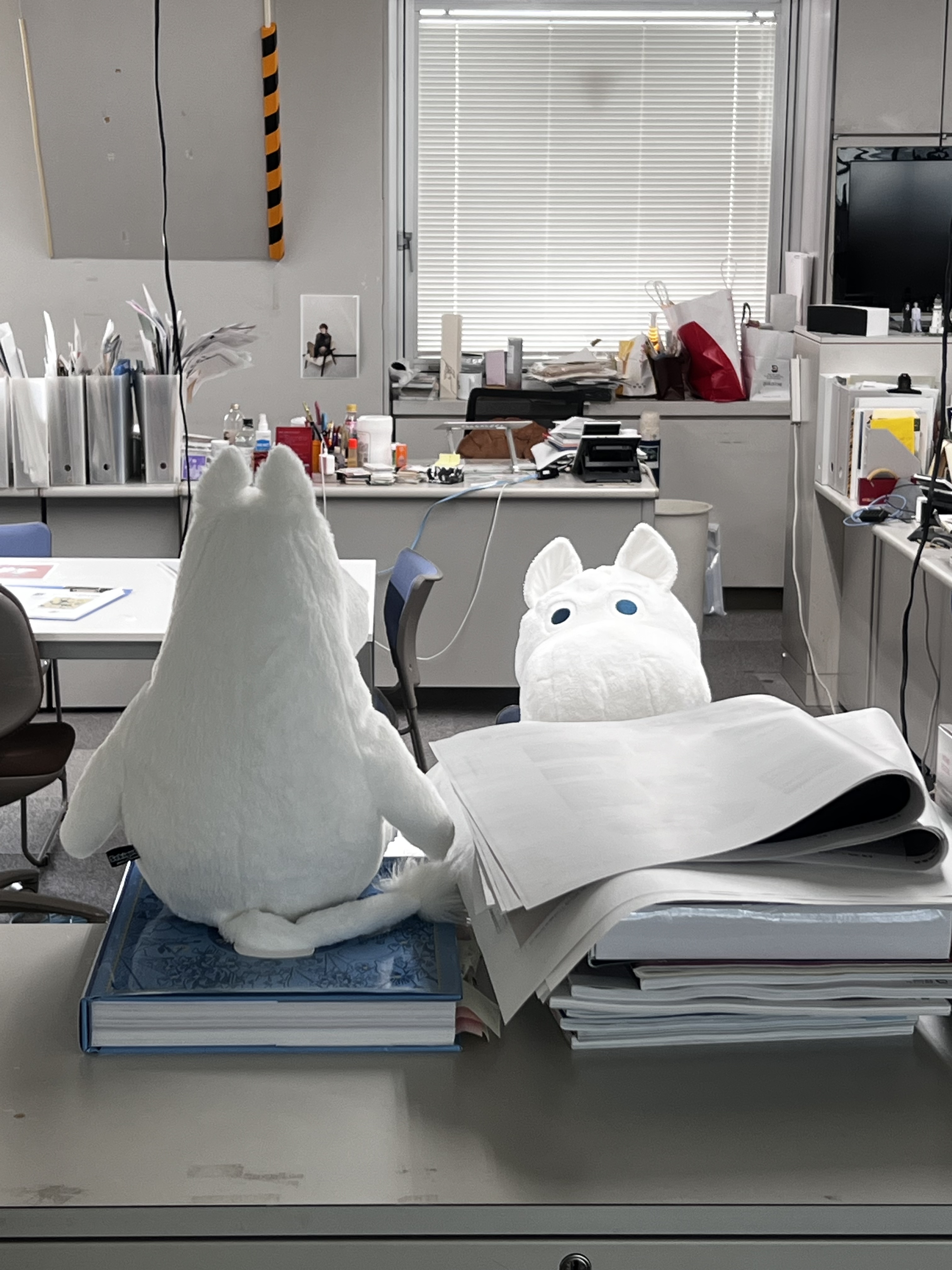 画像のサンプル