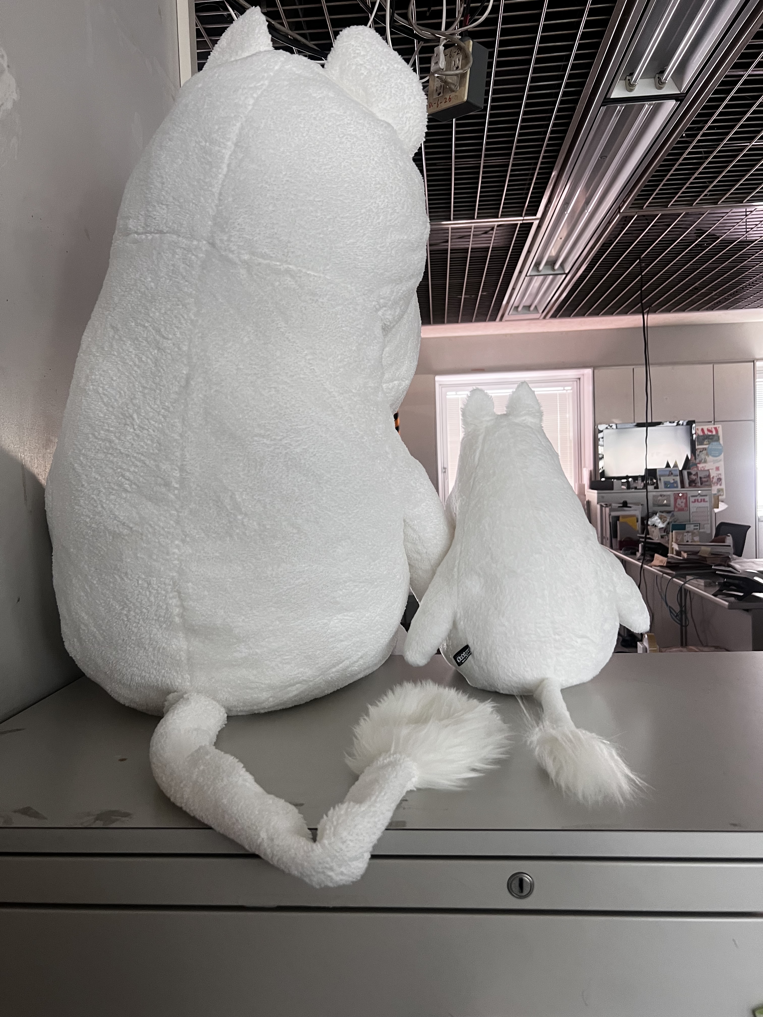 画像のサンプル
